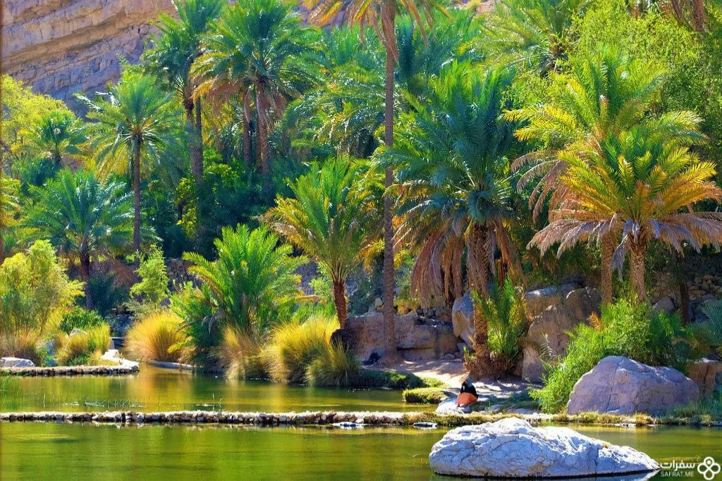 البساتین الجمیلة في وادي بني خالد 1 4.jpg