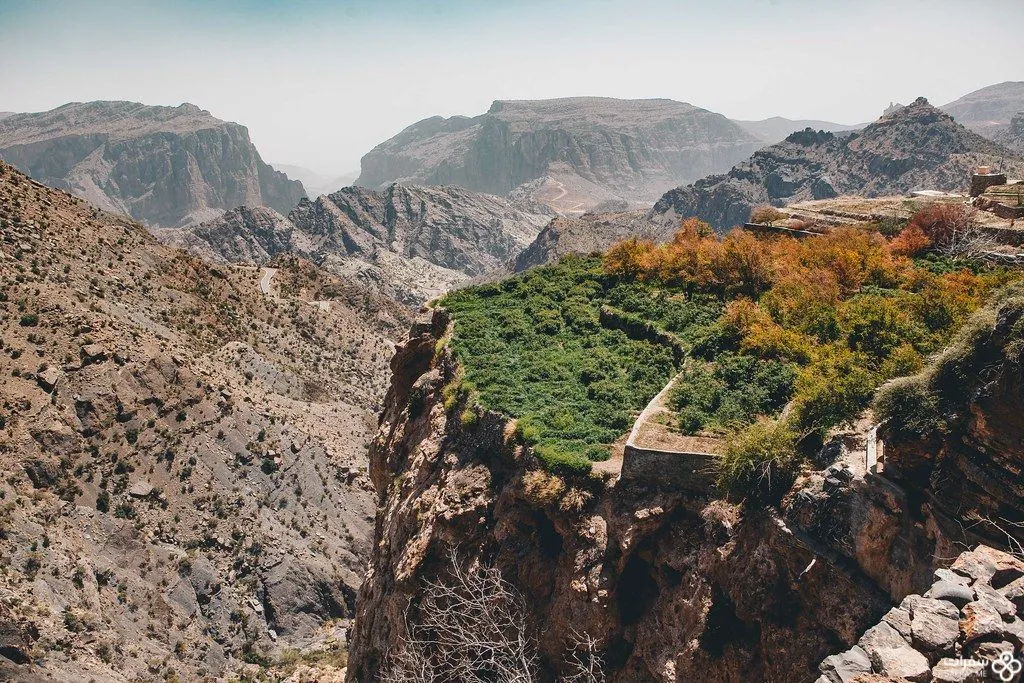 الجبل الأخضر في عمّان 1 2.jpg الجبل الأخضر في عمّان 1 2.jpg