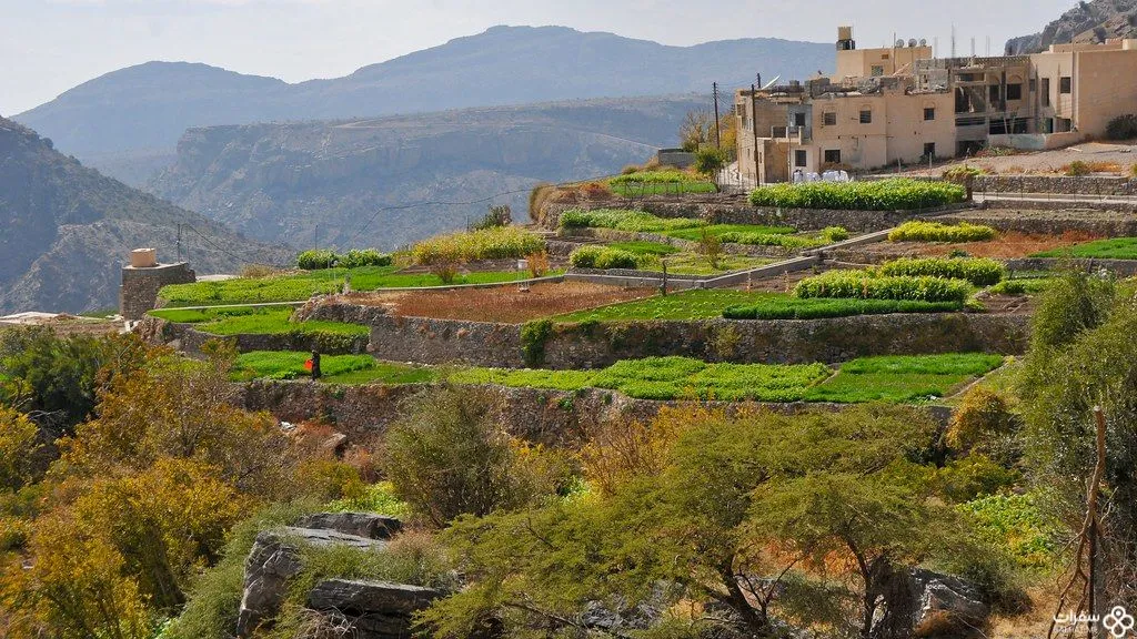 الجبل الأخضر والإطلالات الطبیعیّة الجمیلة.jpg
