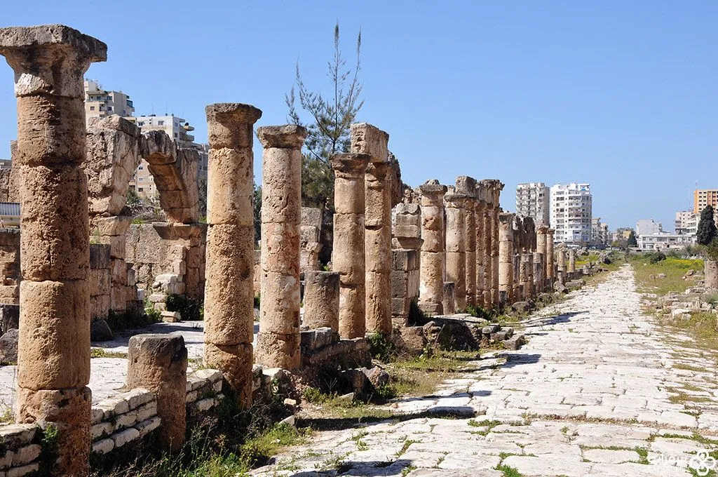 الطريق الحجري لموقع آل باص.jpg