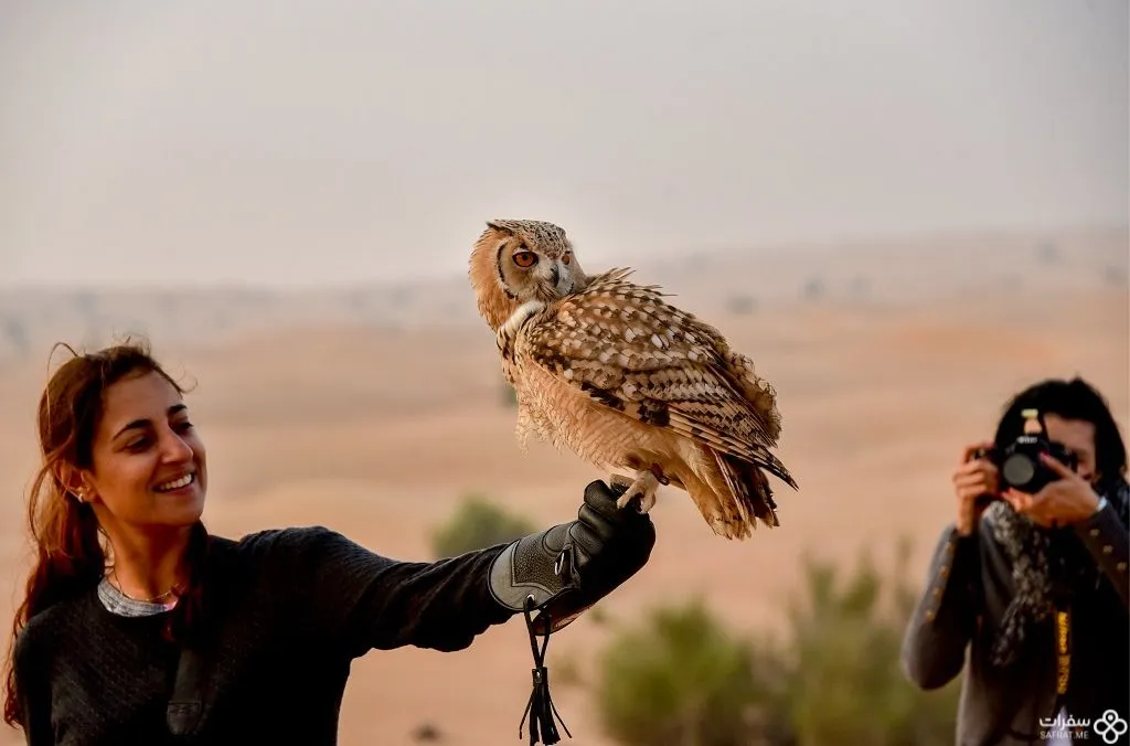 الطیور البریّة في محمیة دبي الصحراویة .jpg