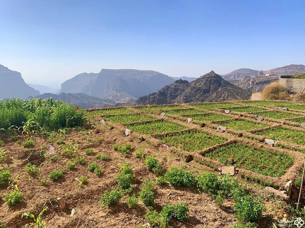 المساحات الخضراء علی الجبل الأخضر 1.jpg المساحات الخضراء علی الجبل الأخضر 1.jpg