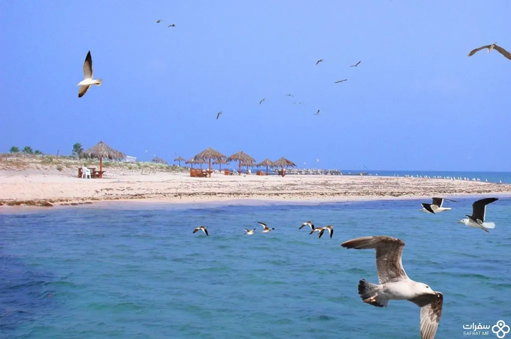 جزر النخیل 1 1.jpg