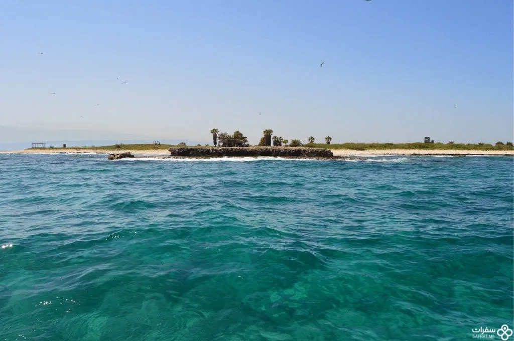 جزر النخیل عن بعد .jpg