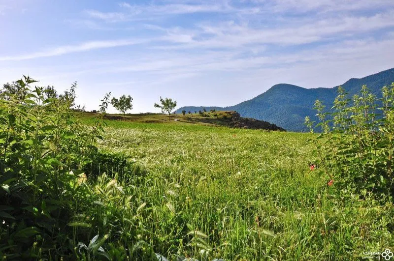 جمال الطّبیعة في أیّام عید النوروز بدایة الربیع.jpg جمال الطّبیعة في أیّام عید النوروز بدایة الربیع.jpg