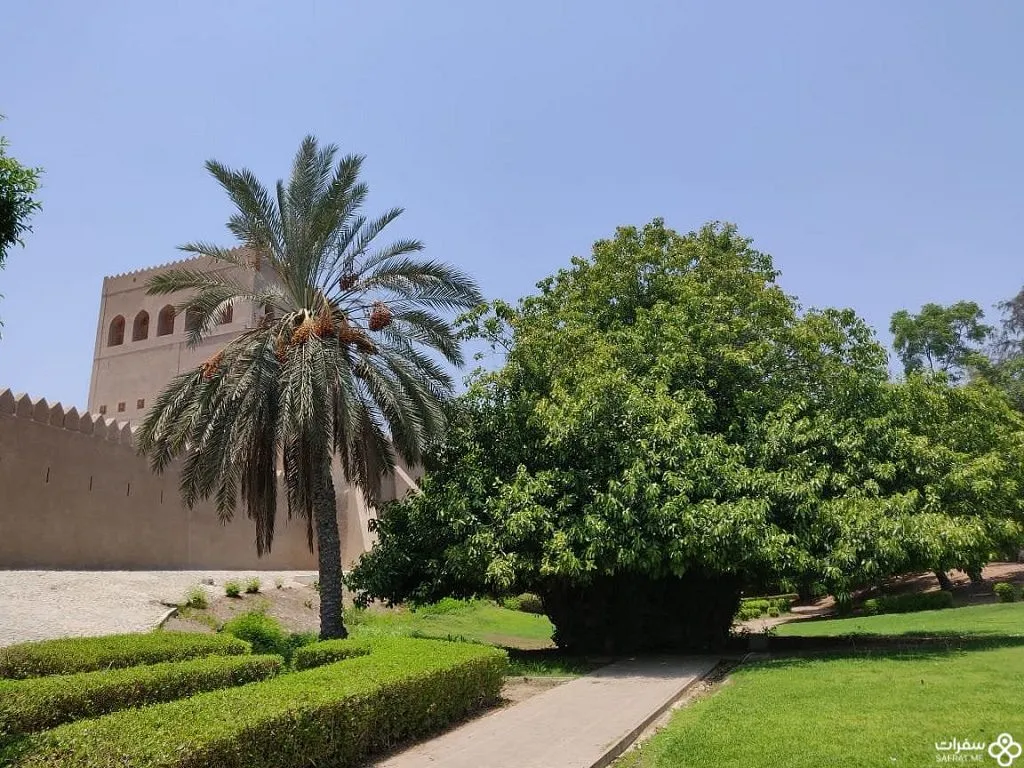 حصن صحار والطبیعة الجمیلة 1 1.jpg