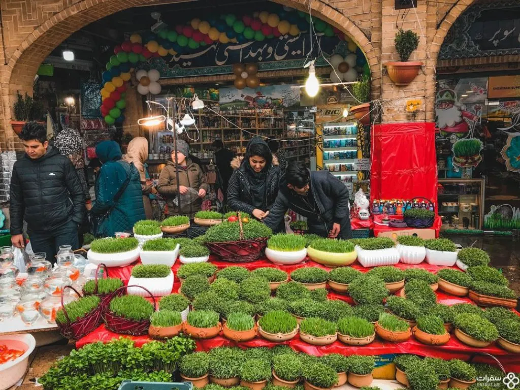 خضرة العید التي توضع علی سفرة هفت سین .jpg خضرة العید التي توضع علی سفرة هفت سین .jpg