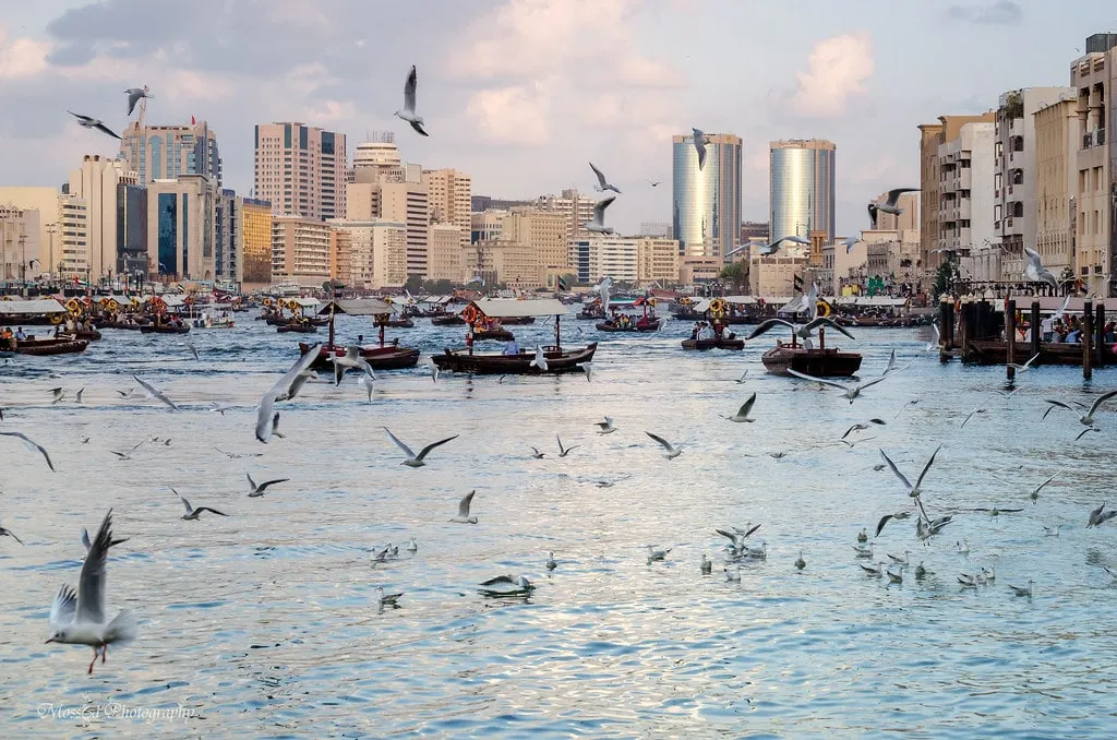 خور دبي وإطلالته الجمیلة .jpg