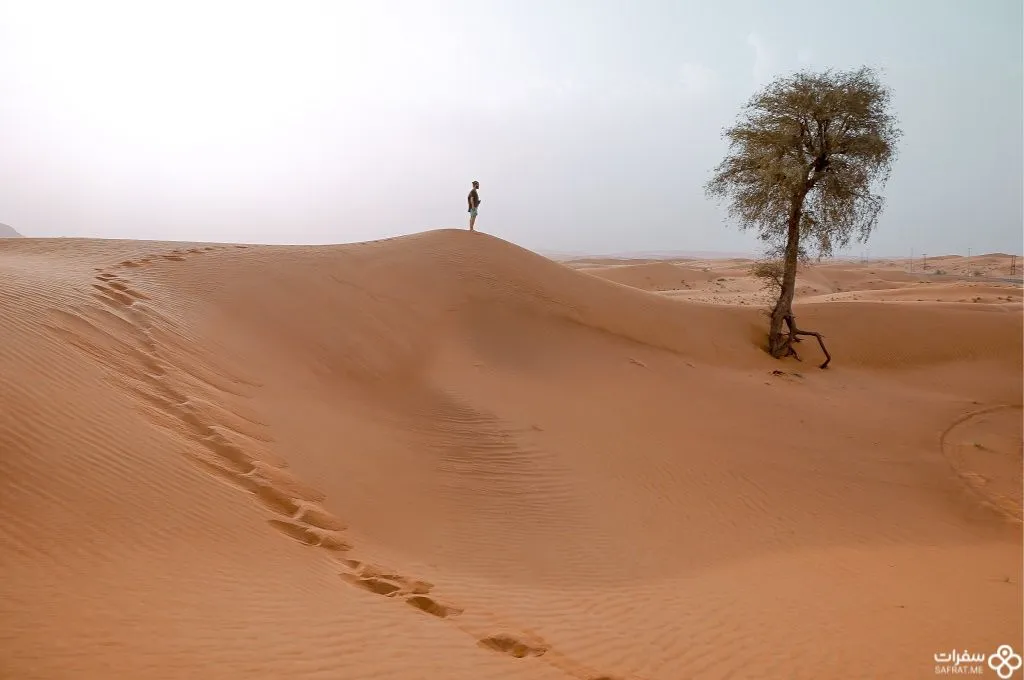 رحلات السفاري والتأمّل في الصحراء .jpg رحلات السفاري والتأمّل في الصحراء .jpg