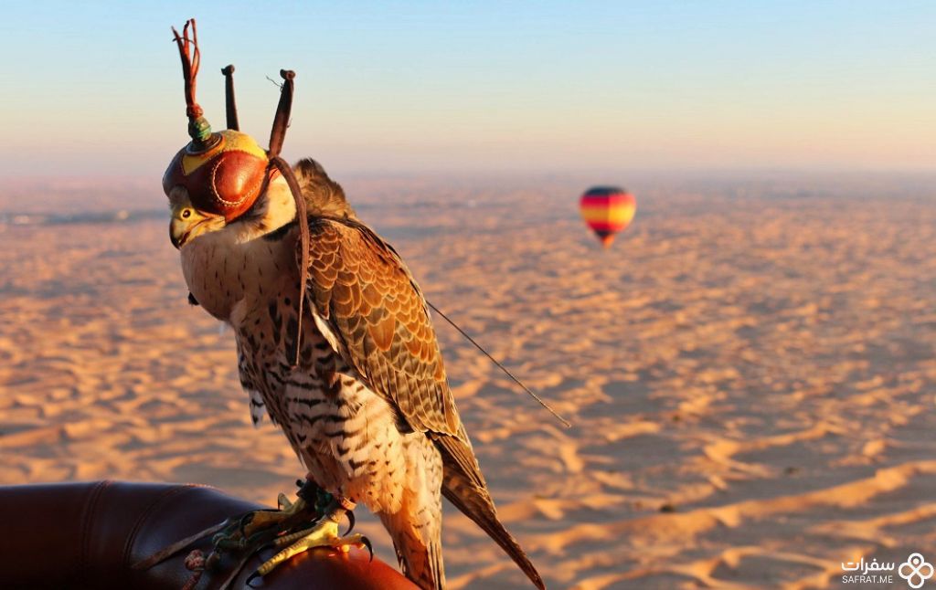 رحلات المنطاد في دبي 1 1 رحلات المنطاد في دبي 1 1