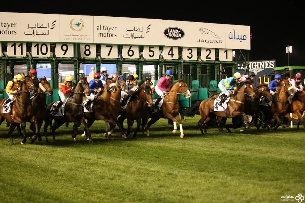 سباق الخیول في المهرجان .jpg