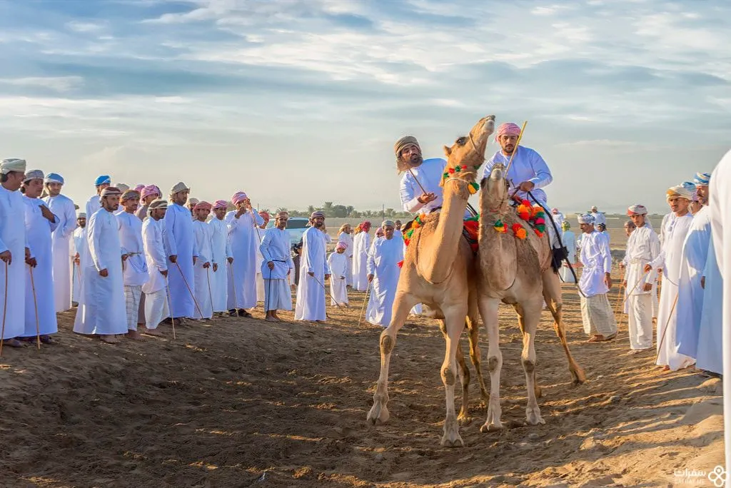 سباقات الجمال .jpg سباقات الجمال .jpg