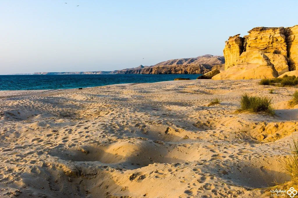 شاطئ محمیّة رأس الجینز .jpg شاطئ محمیّة رأس الجینز .jpg