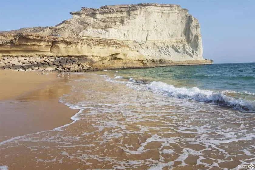 شواطئ بحر عمّان .jpg