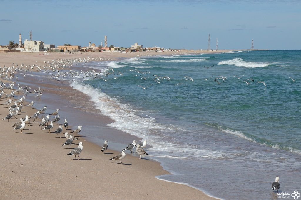 شواطئ عمّان الجمیلة شواطئ عمّان الجمیلة