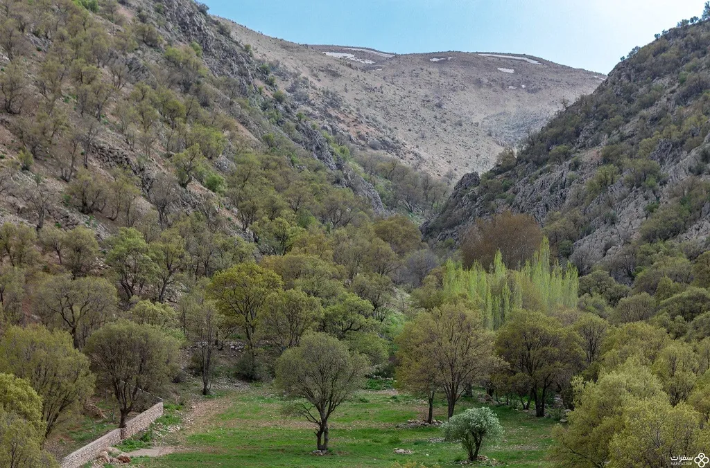 غابات زاغروس الجبلیة 3.jpg