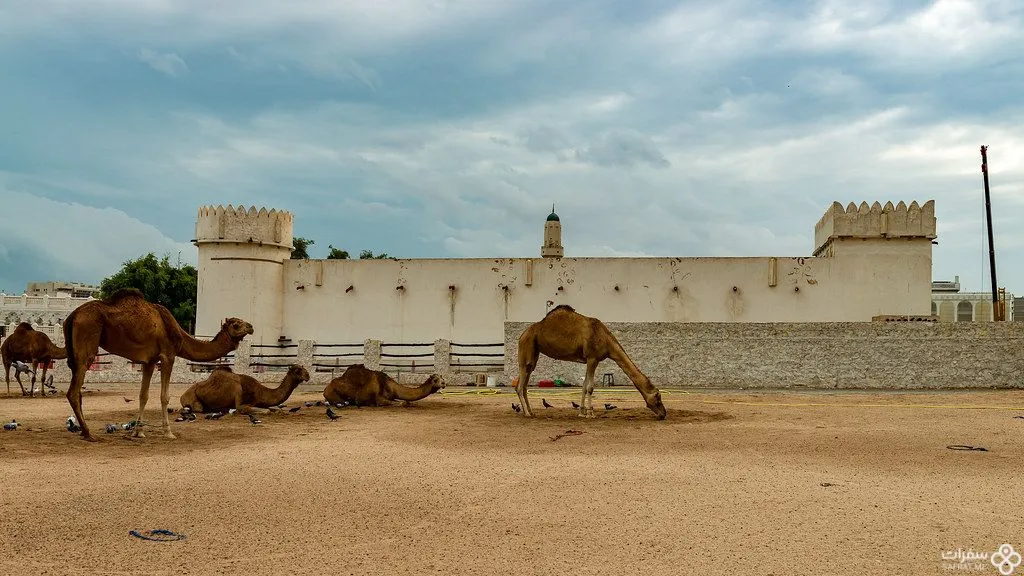 قلعة الکوت، قطر .jpg قلعة الکوت، قطر .jpg
