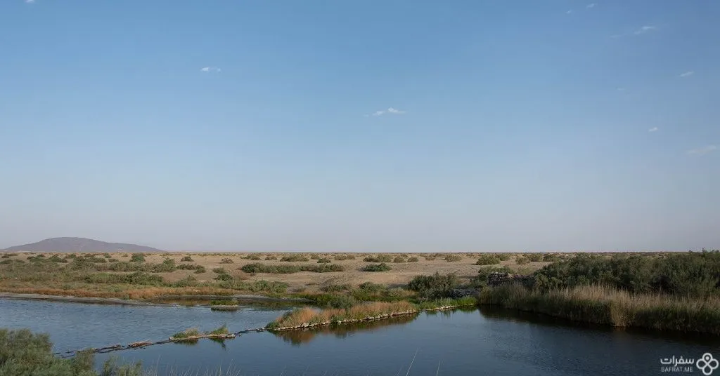 مستنقعات إیران .jpg