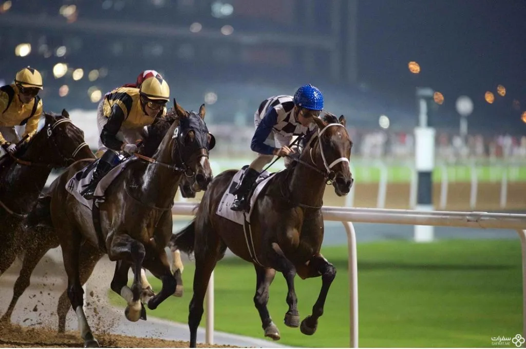 مهرجان الكأس العالمي لسباق الخيل.jpg